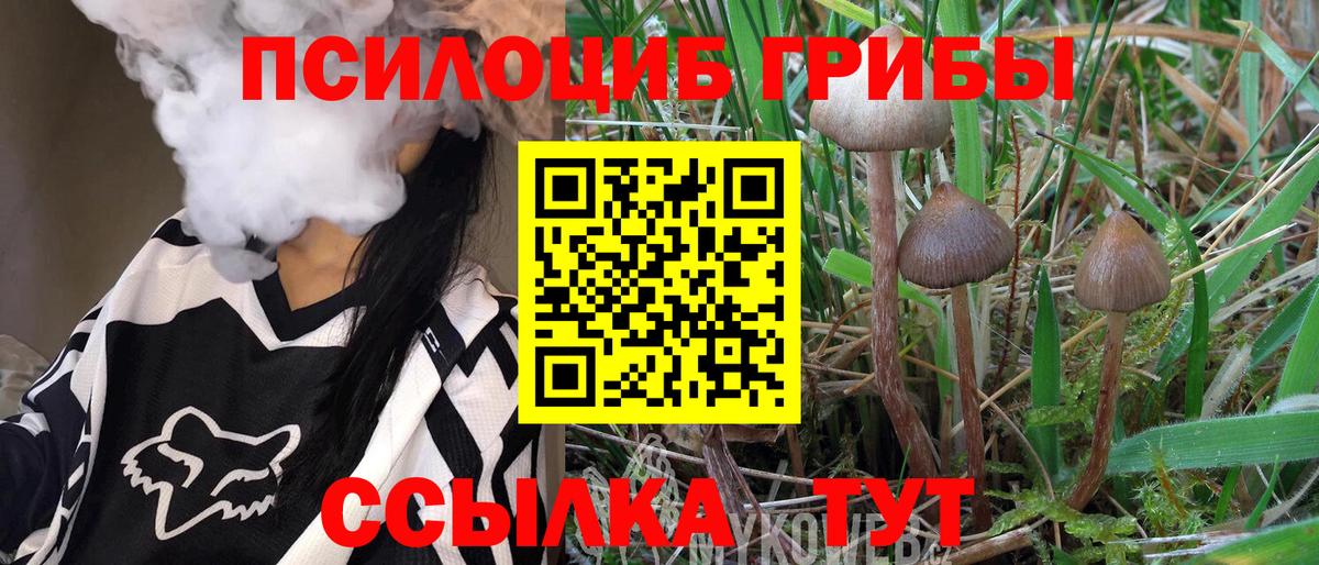 Галлюциногенные грибы Psilocybine cubensis Мирный
